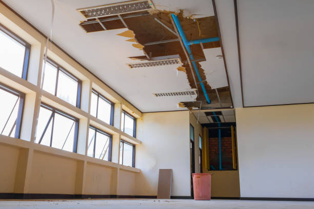Best Ceiling water damage repair  in Waite Park, MN