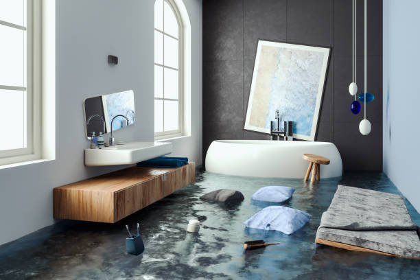 Best Local water damage restoration  in Waite Park, MN