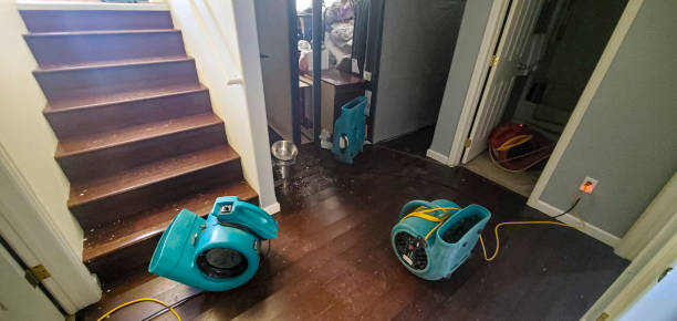 Best Water damage restoration near me  in Waite Park, MN