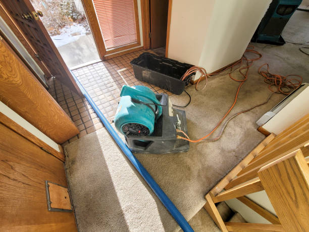 Best Water damage restoration near me  in Waite Park, MN