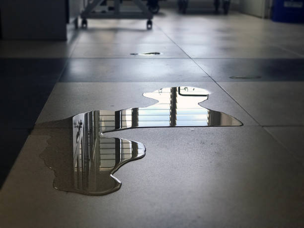 Best Water damage contractors near me  in Waite Park, MN