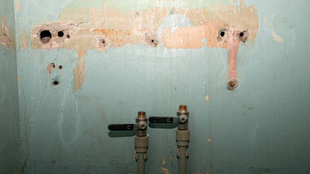 Best Flood damage cleanup  in Waite Park, MN