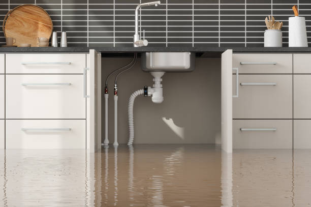 Best Residential water damage restoration  in Waite Park, MN