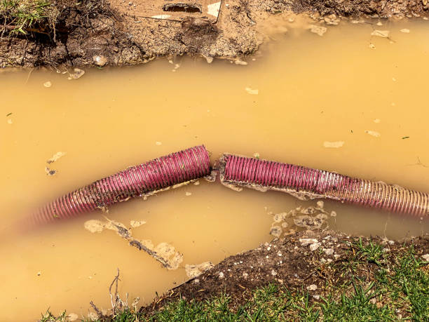 Best 24-hour water damage restoration  in Waite Park, MN