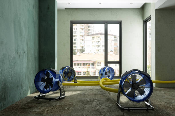 24/7 water damage repair in MN