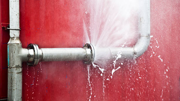 Best Local water damage restoration  in Waite Park, MN