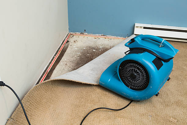 Best Carpet water damage restoration  in Waite Park, MN