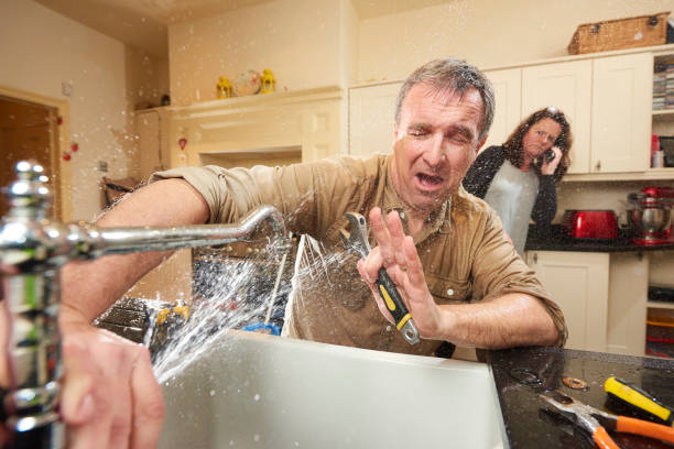 Best 24/7 water damage repair  in Waite Park, MN